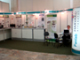 Fesbe Anual 2008
